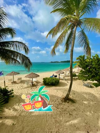 ROMANTIC PINK SAND BEACH 🏝️🏖️✨