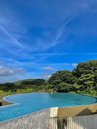 제주도 감성 수영장 호텔🏠