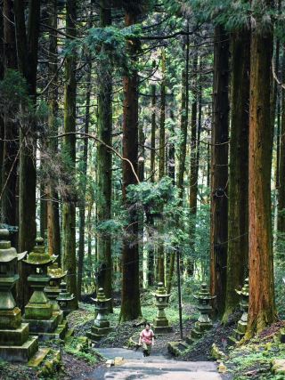 福岡 | 5天4夜親子旅遊指南：輕鬆又有趣  