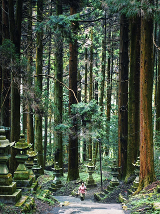 Fukuoka | 5-Day, 4-Night Family Travel Guide:Effortless and Fun 🤩