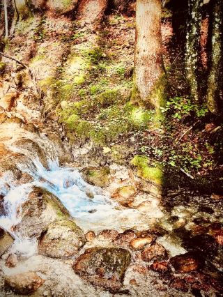 不丹布姆唐烏拉山谷苔蘚犛牛牧場 Ridgeeasytravelpost #布姆唐 #烏拉山谷 #犛牛牧場