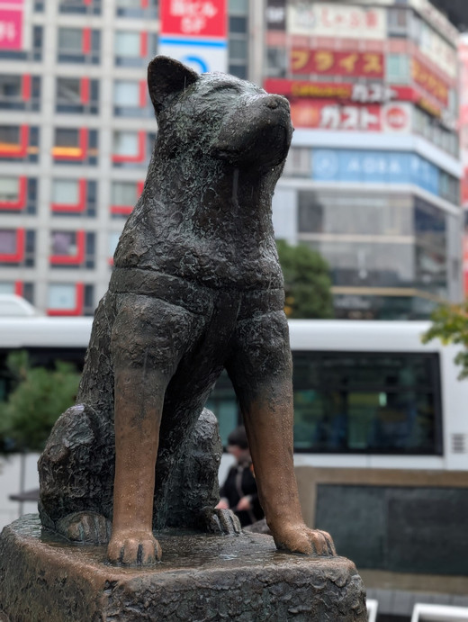 The Story of My Visit to Shibuya Crossing to Meet Hachiko