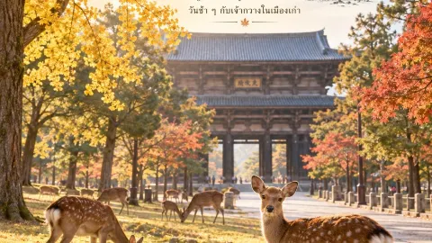 🦌🍂 NARA — A slow day with deer amidst the golden autumn colors 🇯🇵 — traveler post in Osaka