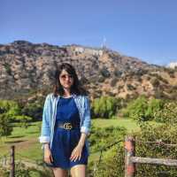 Perfect Spot For The Hollywood Sign