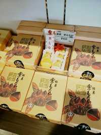 《水鄉之城柳川泛舟之旅》