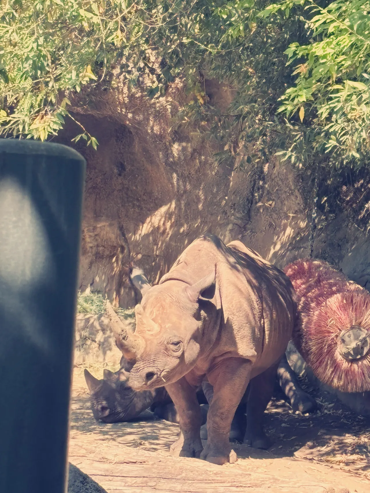 オレゴン動物園