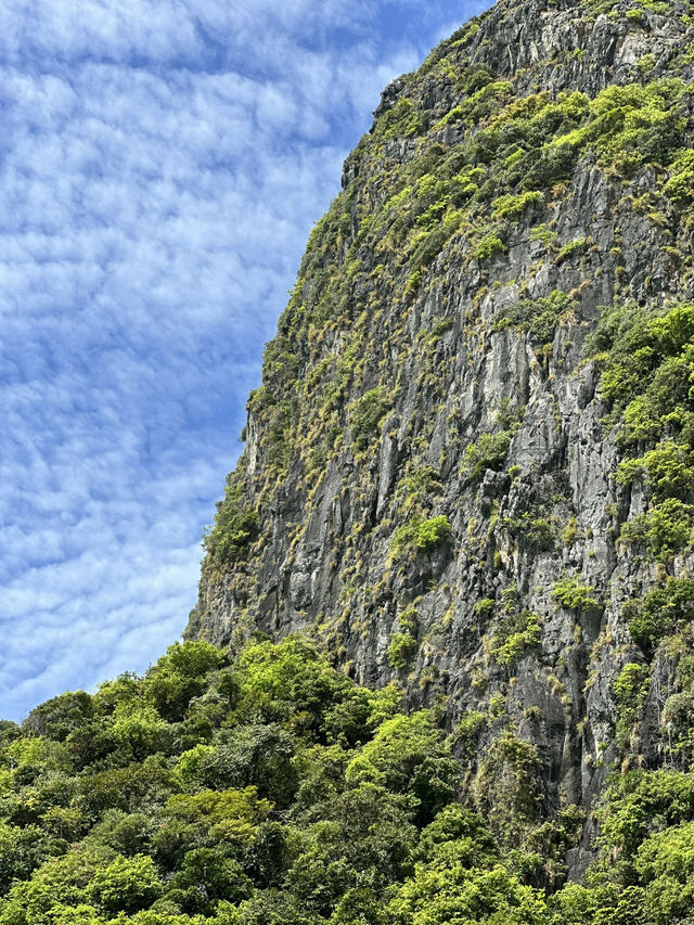  Путешествие на острова Пхи-Пхи,Майа Бэй и Кхай.Пхукет🇹🇭