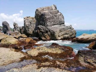 🌊海に一直線に並ぶ不思議な奇岩群🌊
