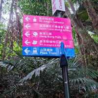 The Peak Tram (interesting & exciting) 