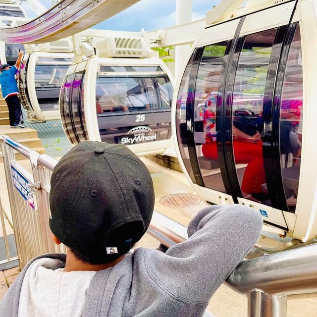 Niagara SkyWheel 🇨🇦