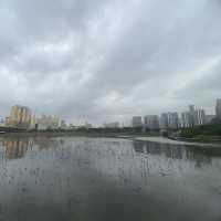 澳門龍環葡韻濕地生態區 - 探索大自然的寶藏