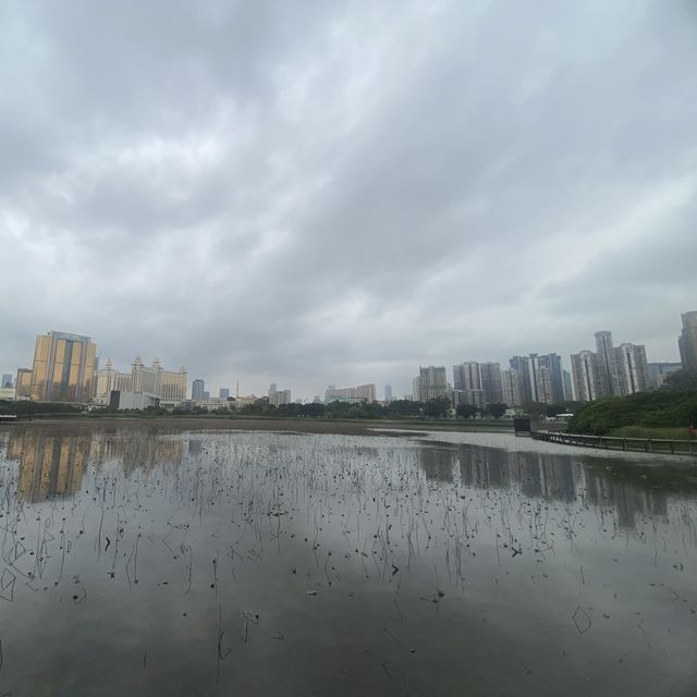 澳門龍環葡韻濕地生態區 - 探索大自然的寶藏