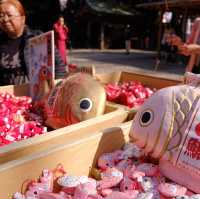 ［東京近郊］比較少人的賞櫻好地方🌸