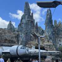 Disney Hollywood Studios 