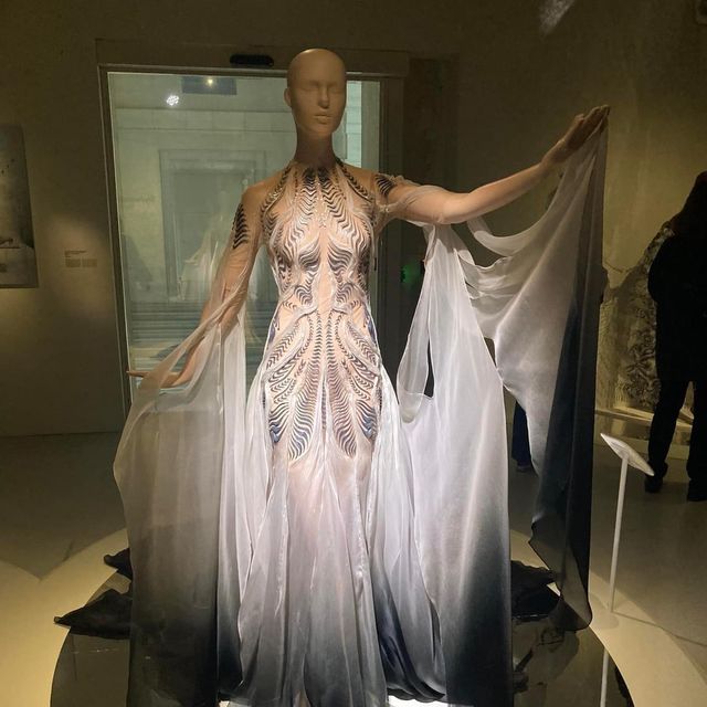 Iris van Herpen in Paris Museum 🗺️