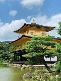 Savoring the Serenity of Kyoto's Kinkaku-ji