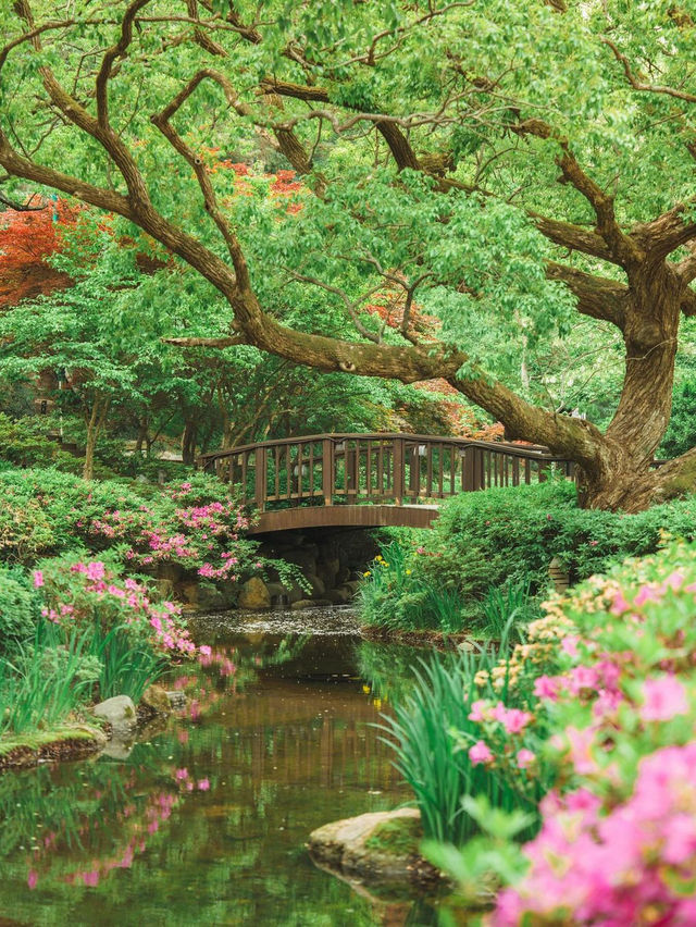 경주 타워 공원