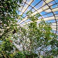 🐛伊丹市昆蟲館🐝日本標本數量最多的展覽