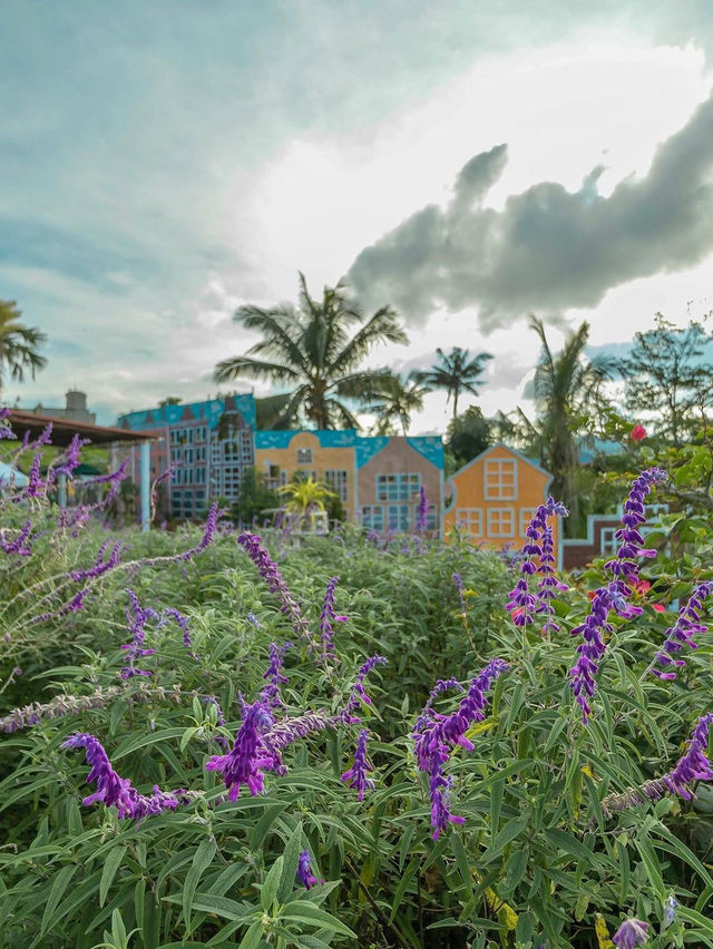 Sirao Pictorial Garden and Camping Site 