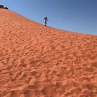 Desert Surf 