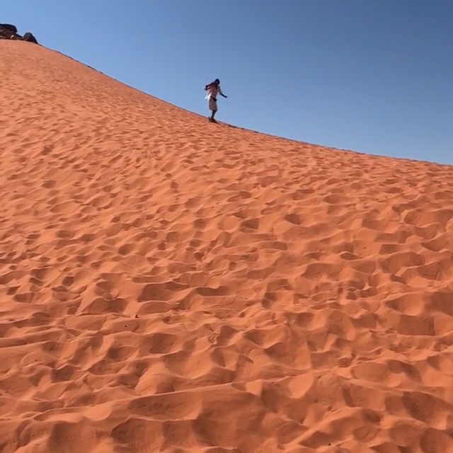 Desert Surf 