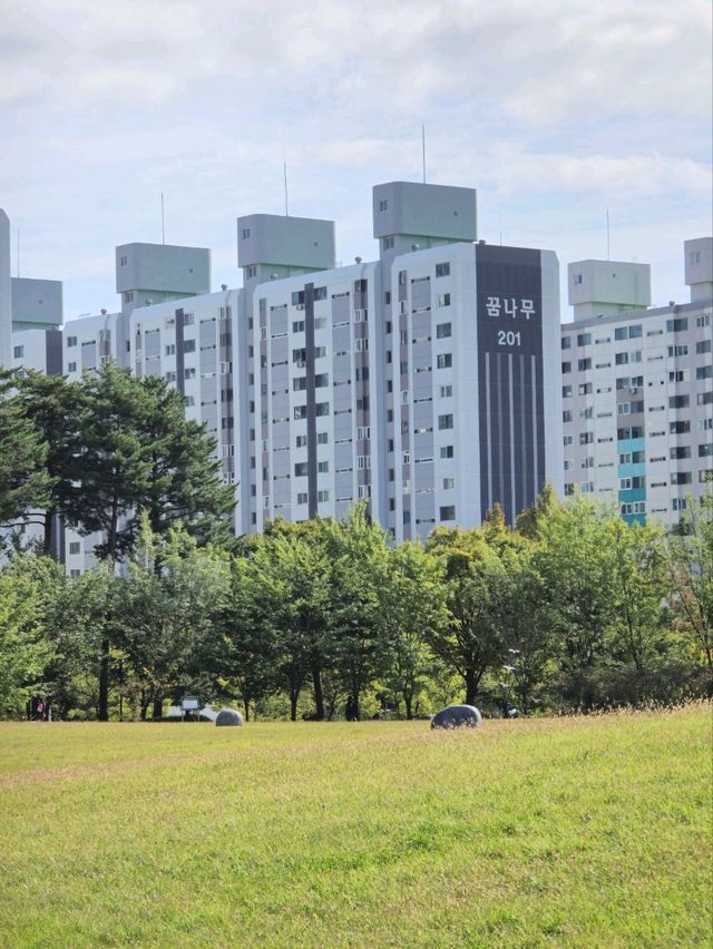 국내여행 산책하기 좋은 대전의 샘머리들의공원
