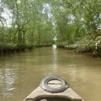 Lost in the Mekong Delta