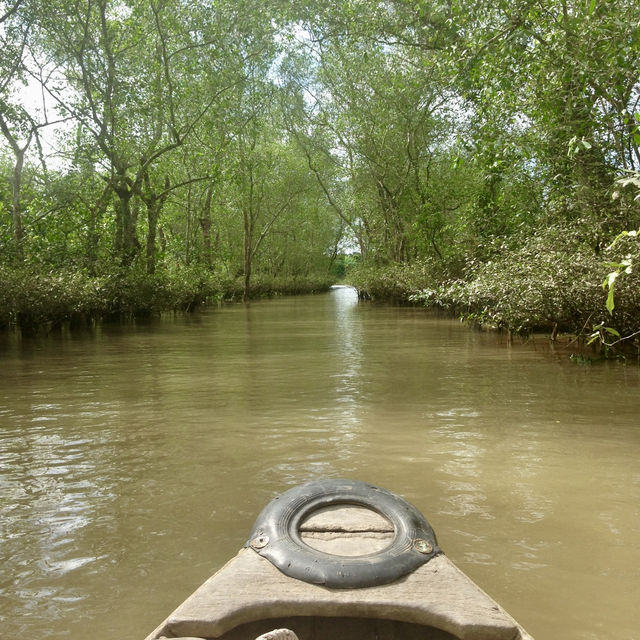Lost in the Mekong Delta