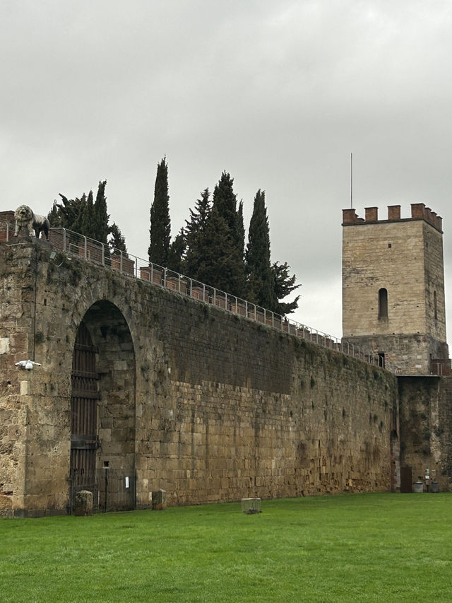 Key Tips for Visiting Pisa