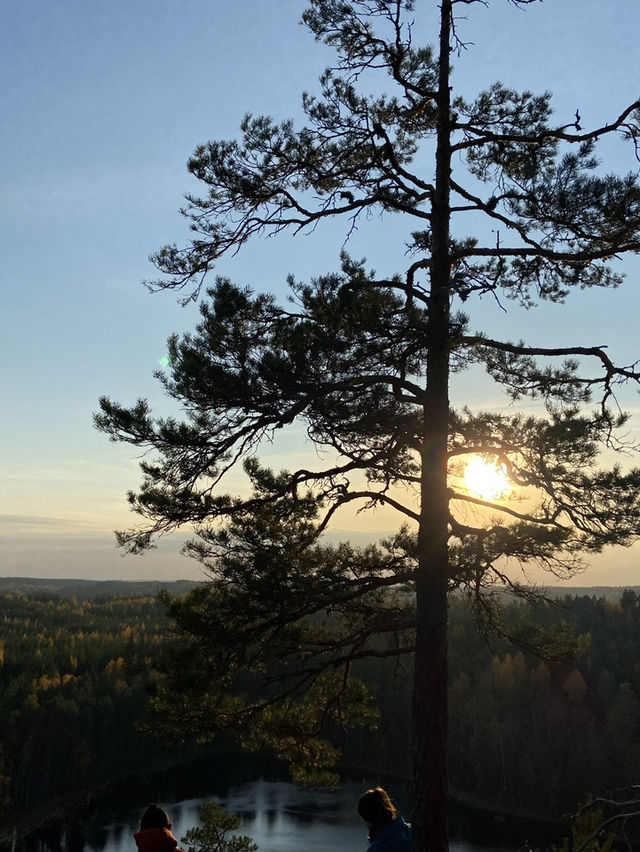 “Spent a perfect autumn day hiking in Nuuksio National Park, Finland🍂🌲