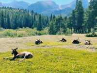 Estes Park – The Ultimate Theme Park in the Rockies! 🏔️  