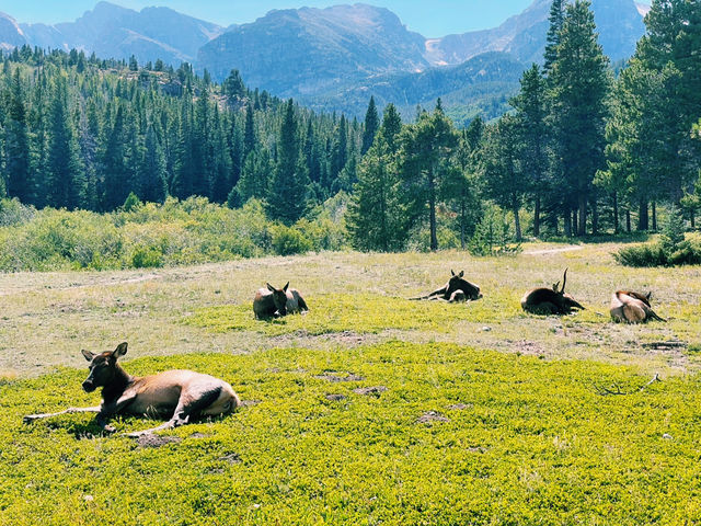 Estes Park – The Ultimate Theme Park in the Rockies! 🏔️  