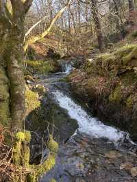 Waterfall in the woods 
