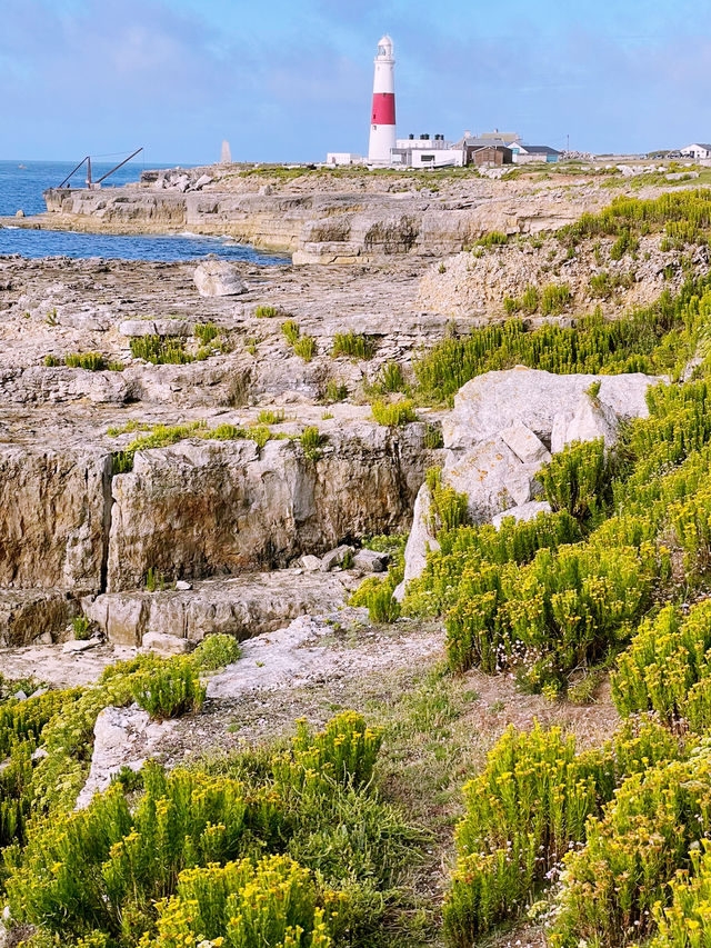 🚗 Southampton to Portland & Lighthouse – A Coastal Adventure 🏝️💡