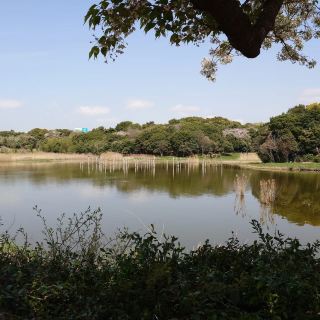 A vast park overlooking Tokyo Bay