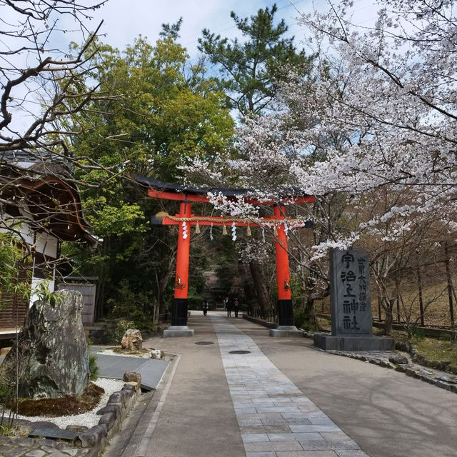 A sacred power spot that has been worshipped since ancient times