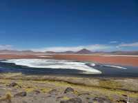 해외여행 볼리비아의 붉은 호수 Laguna Colorada