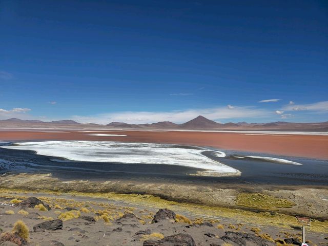 해외여행 볼리비아의 붉은 호수 Laguna Colorada