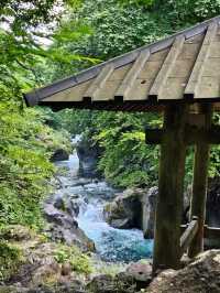 Nikko: A Day of Nature, Shrines, and Waterfalls