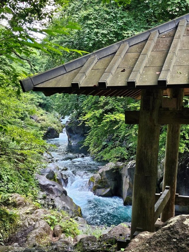 Nikko: A Day of Nature, Shrines, and Waterfalls