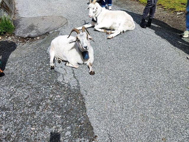 One of the greatest place for tourists in Bergen