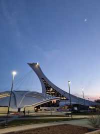 Thing to do in Montreal: The Planetarium (close to the former olympic stadium)