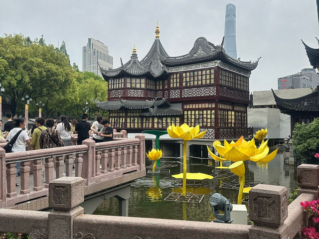 上海自由行：城市魅力與東坡肉的美味邂逅