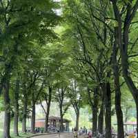 Parco della Pellerina