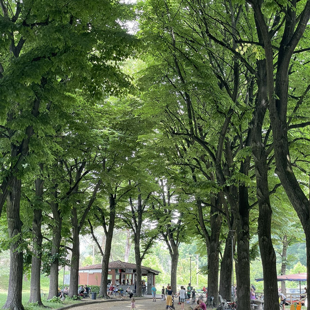Parco della Pellerina