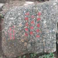 Nanjing, the Zhongshan Mountain National Park is a beautiful national park