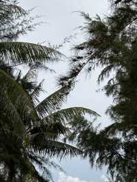 Sunset Sonato Phu Quoc: as a place for a great sunset pictures