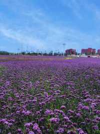 Wandering Through Huinan: The Green Heart of Jilin