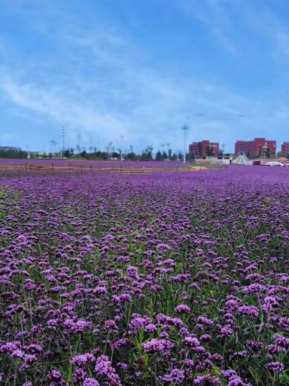 Wandering Through Huinan: The Green Heart of Jilin