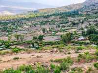ethiopian village home 